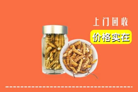 铁岭市调兵山回收散虫草