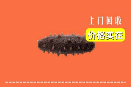 铁岭市调兵山回收海参