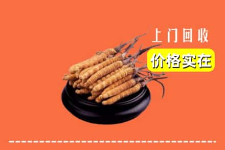 铁岭市调兵山回收冬虫夏草